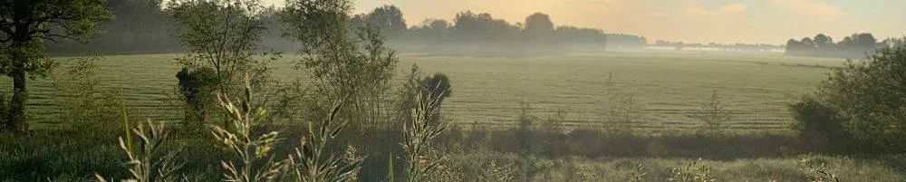 In de natuur